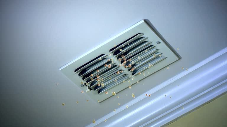 Best Best Air Duct Cleaning Near Me  in Richardson, TX
